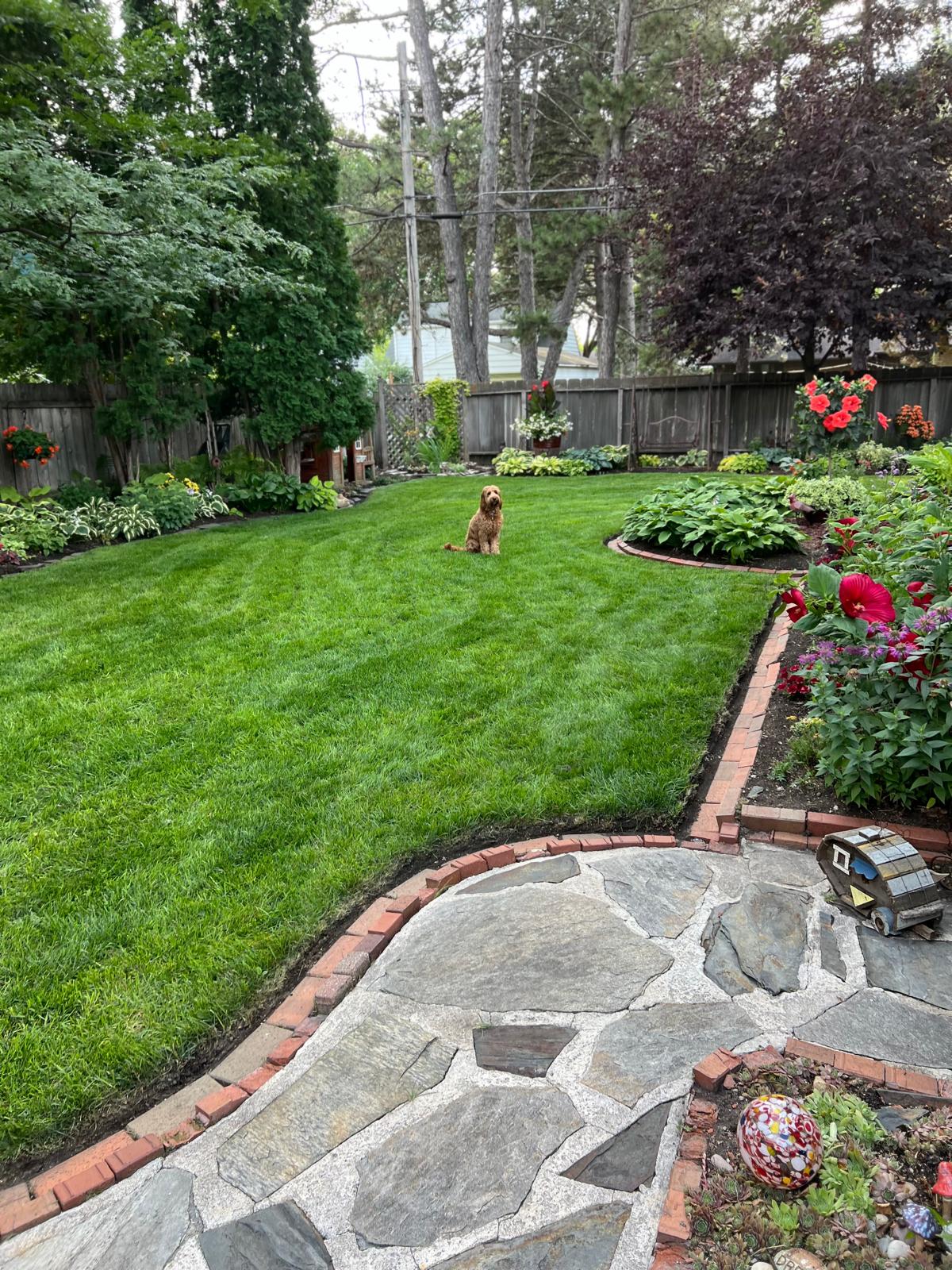 A beautifully landscaped garden with various plants, trees, and flowers. There is a brown dog sitting on the lawn.